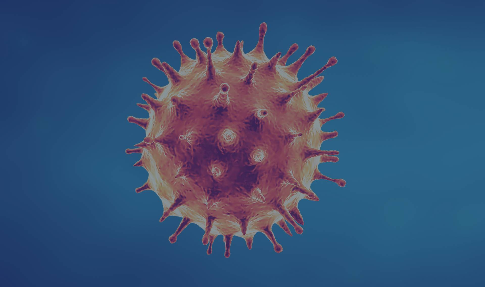 Covid-19 Virus